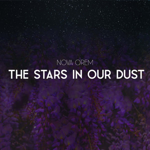 The Stars in Our Dust