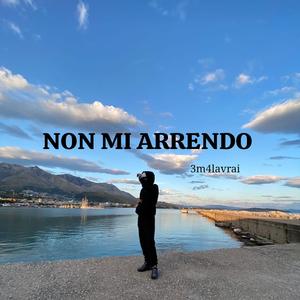 NON MI ARRENDO