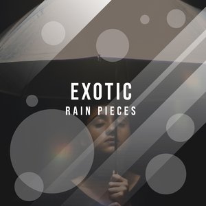 Delicate Rain Chatter