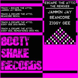 Escape The Attic (Ziggy Gee Re-Rub)