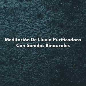 Mindfulness Para Días Lluviosos