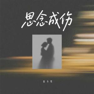 思念成伤