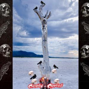 Trágica Presunción