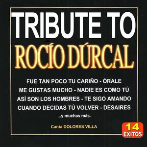 Desaires (tribute version)