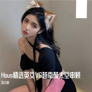 Hous精选英文VS越南鼓太空串烧