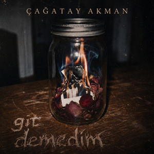 Git Demedim