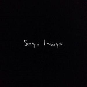 对不起 (I'm Sorry) (Prod.EVO MUSIC)