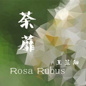 荼蘼 (Rosa Rubus)