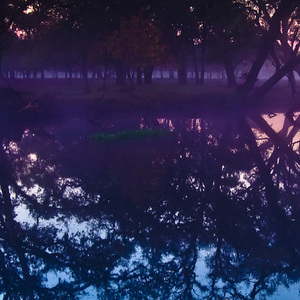 哪有什么避风港钞票是真梦想