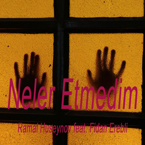 Neler Etmedim