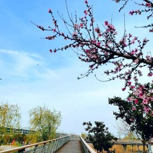 唯有人心喂不饱 (剪辑版)