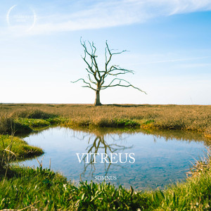 Vitreus