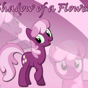 Shadow of a Flower