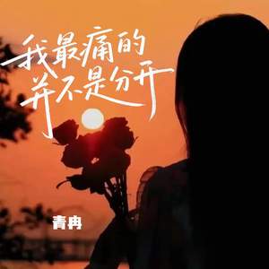 我最痛的并不是分开