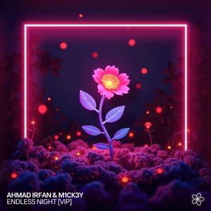 Endless Night (VIP Mix)