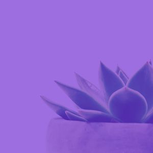 一尘不染周围环境印象数