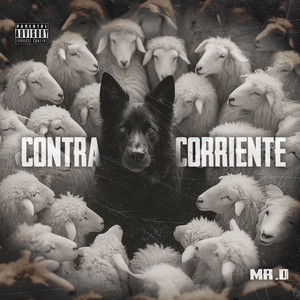 Constantes