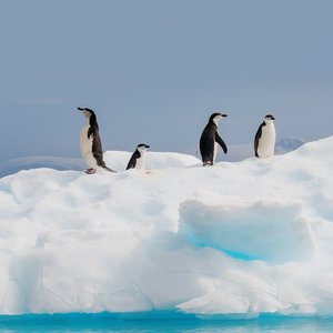 爱不是说我爱你 是风雨里把伞倾向你