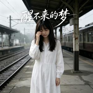 醒不来的梦