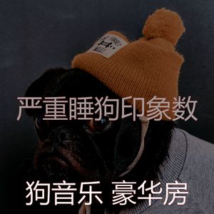 一尘不染小狗印象数