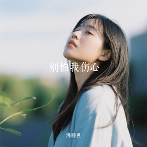 别怕我伤心
