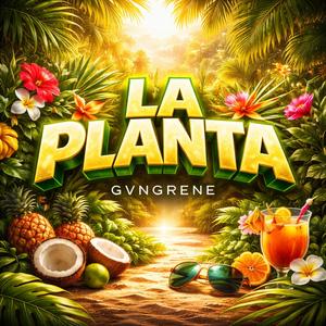 LA PLANTA
