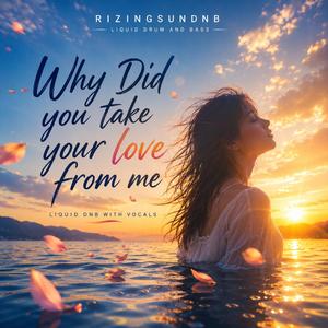 Why Did You Take Your Love