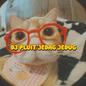 DJ Pluit Jedag Jedug