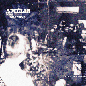 Dicionário Amélio Multicores