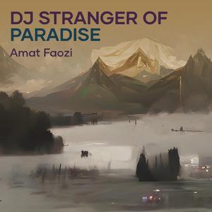 Dj Stranger of Paradise