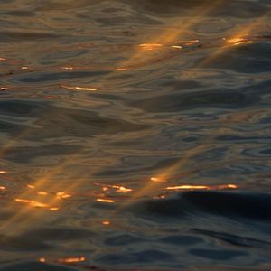 雨爱1664631798648_20221001_214350