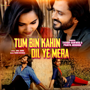 TUM BIN KAHIN DIL YE MERA