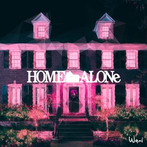 Home Alone Themes