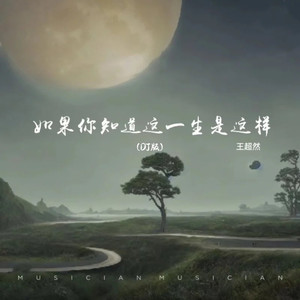 如果你知道这一生是这样 (DJ版)