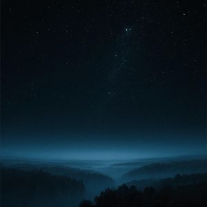 鸦雀归林伴晨光