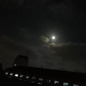 拜托（翻自 群星）