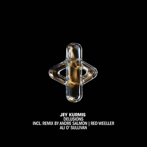 Delusions (Andre Salmon Remix)