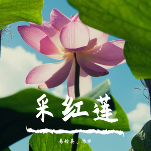 采红莲