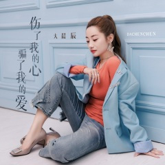 伤了我的心骗了我的爱 (DJ默涵版)