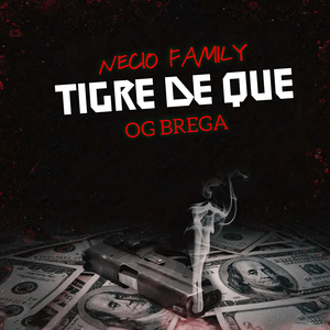 ¿Tigre de Que? (Official)