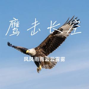 鹰击长空