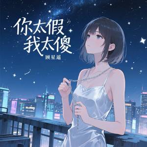你太假我太傻