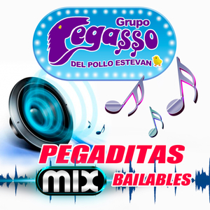 Munequita