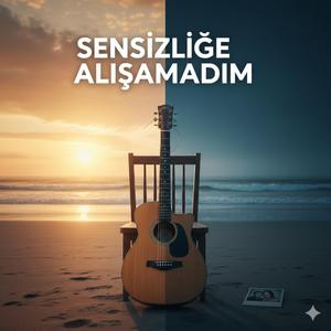 Sensizliğe Alışamadım