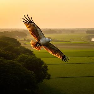 অসুখ অসুখ লাগে