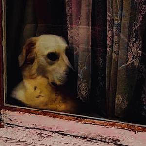 Can You Just Talk? (feat. girled)