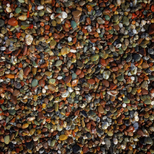 Are You Seeing This? (feat. Count Salaz)