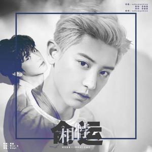 相悖命运（橙光游戏《王牌缉毒》朴灿烈角色曲）