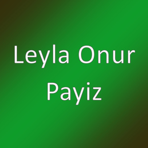 Payiz