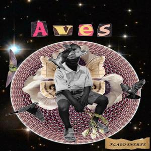 Aves